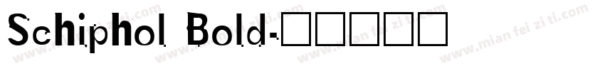 Schiphol Bold字体转换